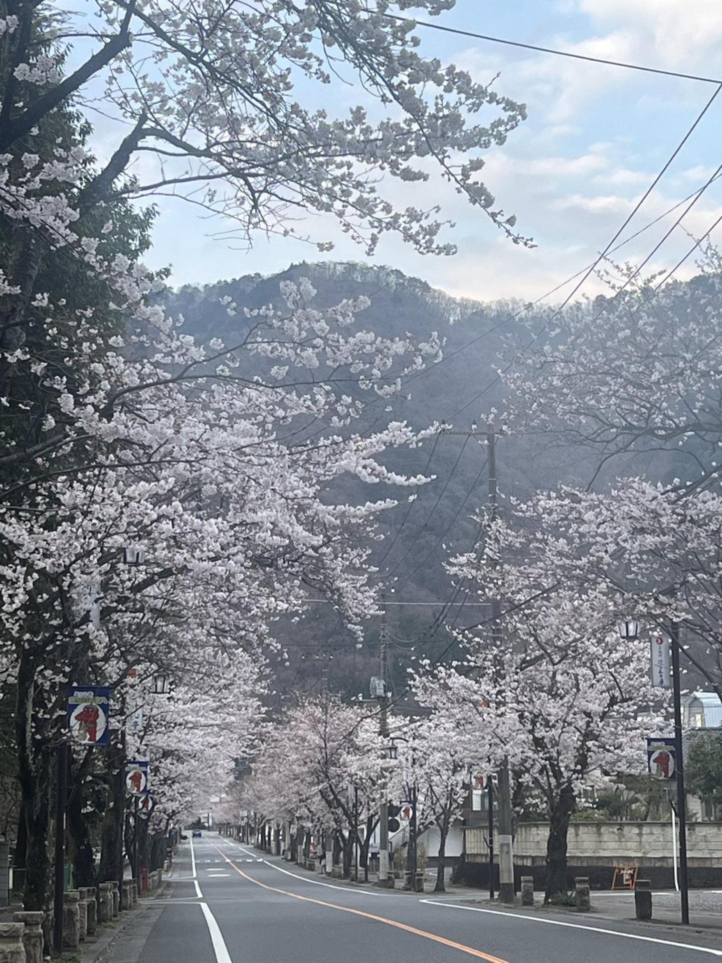 Kinugawa Keisui Hotell Nikko Eksteriør bilde