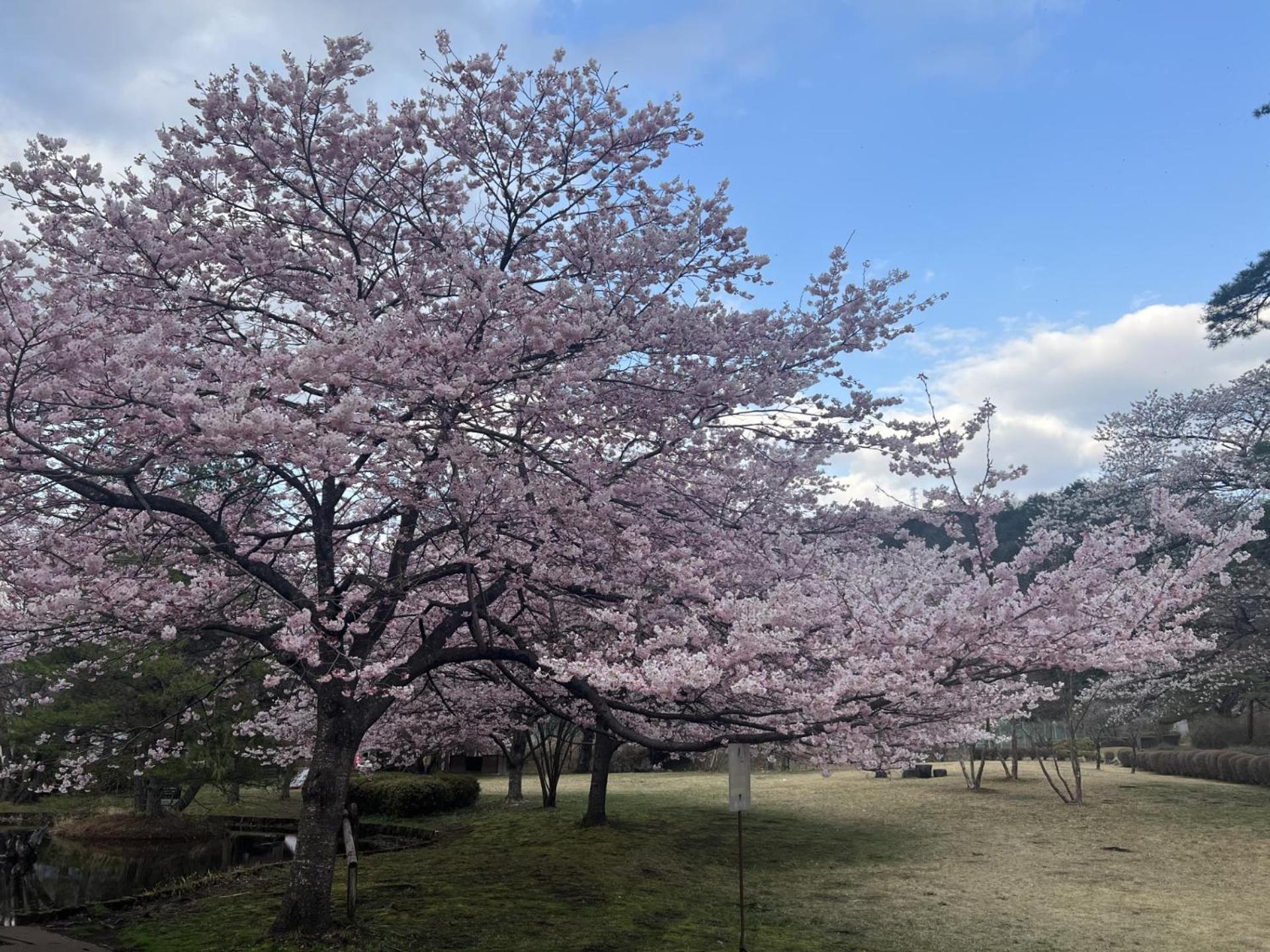 Kinugawa Keisui Hotell Nikko Eksteriør bilde