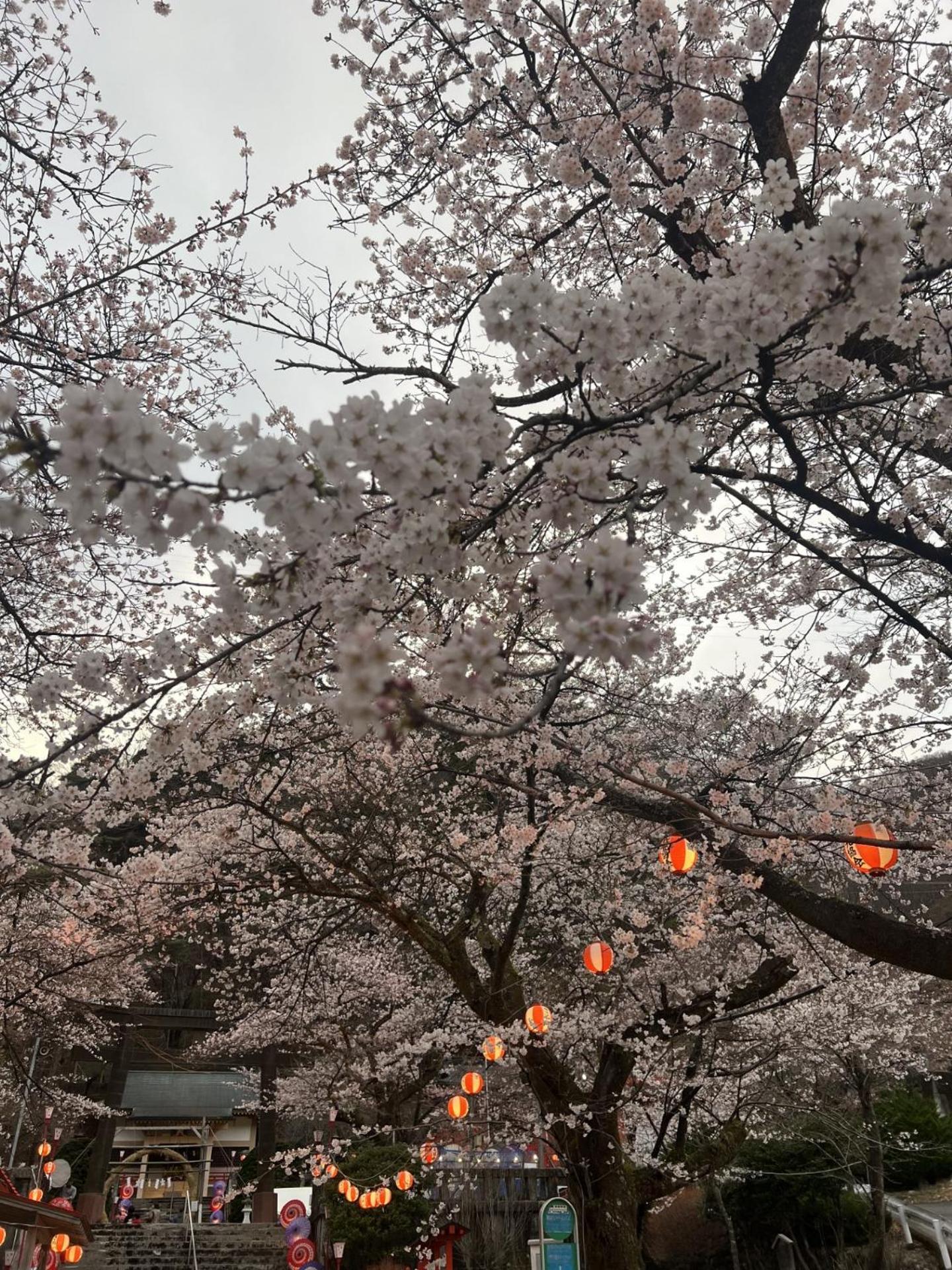 Kinugawa Keisui Hotell Nikko Eksteriør bilde
